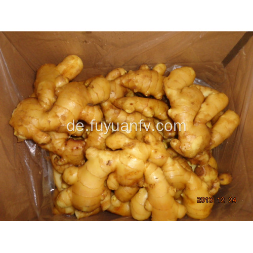 150 g Anqiu frischer Ingwer